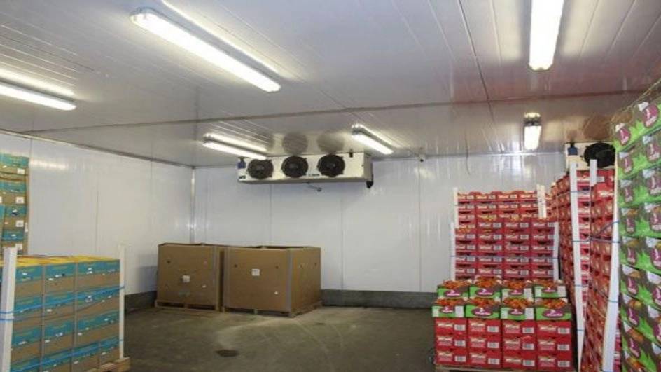 ویژگی‌ها و تجهیزات سردخانه خرما