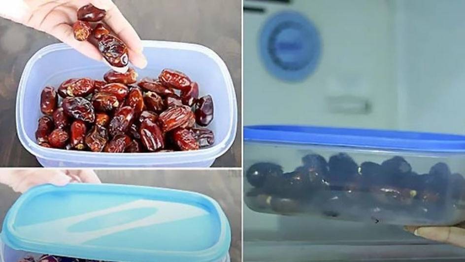 شرایط و مدت زمان نگهداری خرما در سردخانه شرایط و مدت زمان نگهداری خرما در سردخانه